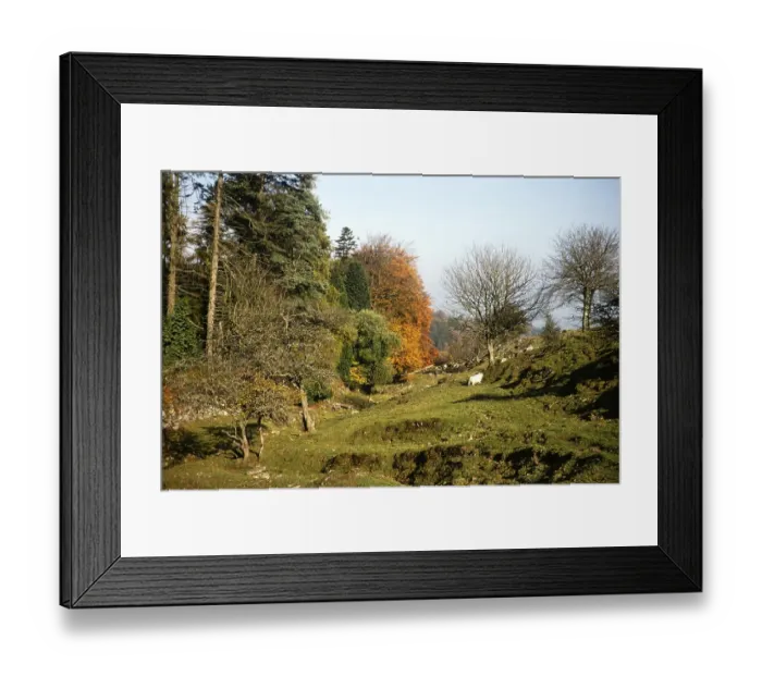 Framed Print : Subtitle: Batsworthy, presumably Dartmoor National Park, Devon, England, UK 1975 Framed Print : Subtitle: Batsworthy, presumably Dartmoor National Park, Devon, England, UK 1975