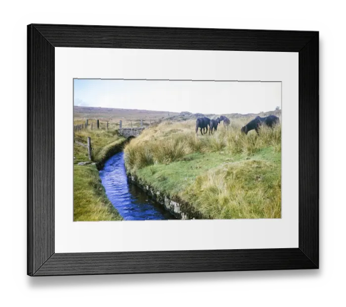 Framed Print : Drainage channel of Devonport Leat, Dartmoor National Park, Devon, England, UK 1973