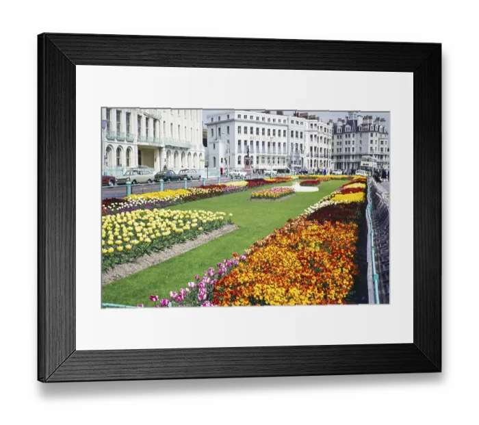 Framed Print : Gardens by the sea in front of Regent-style hotel buildings, Grand Parade, Eastbourne, East Sussex, England, UK, 1960s Framed Print : Gardens by the sea in front of Regent-style hotel buildings, Grand Parade, Eastbourne, East Sussex, England, UK, 1960s