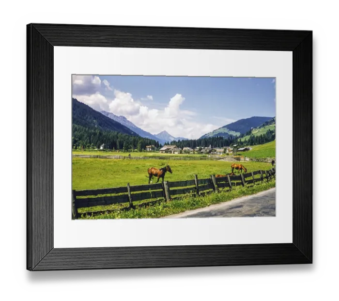 Framed Print : Horses in the pasture, village in the valley, Leinz district, East Tyrol, Austria, Europe 1950s, Europe Framed Print : Horses in the pasture, village in the valley, Leinz district, East Tyrol, Austria, Europe 1950s, Europe