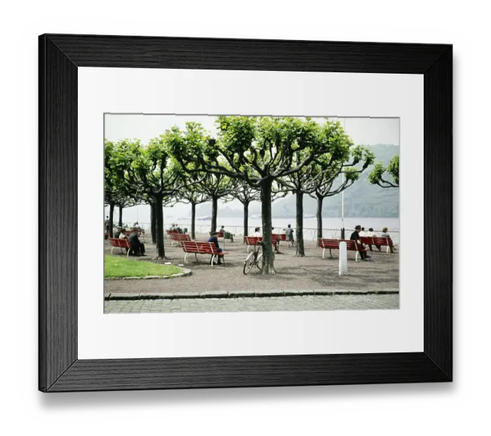 Framed Print : People sitting on benches on a terrace overlooking the Rhine, Andernach, Mayen Koblenz, Rhineland-Palatinate, Germany, Europe 1961, Europe