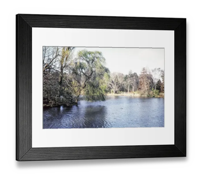 Framed Print : Decoy Pond and woodland, Hampden Park, Eastbourne, East Sussex, England, UK April 1960
