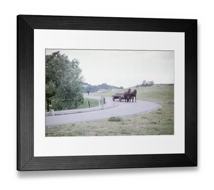 Framed Print : Horse pulling farm cart with earth along a country road, rural area near Bern, Switzerland, Europe, 1961, Europe Framed Print : Horse pulling farm cart with earth along a country road, rural area near Bern, Switzerland, Europe, 1961, Europe