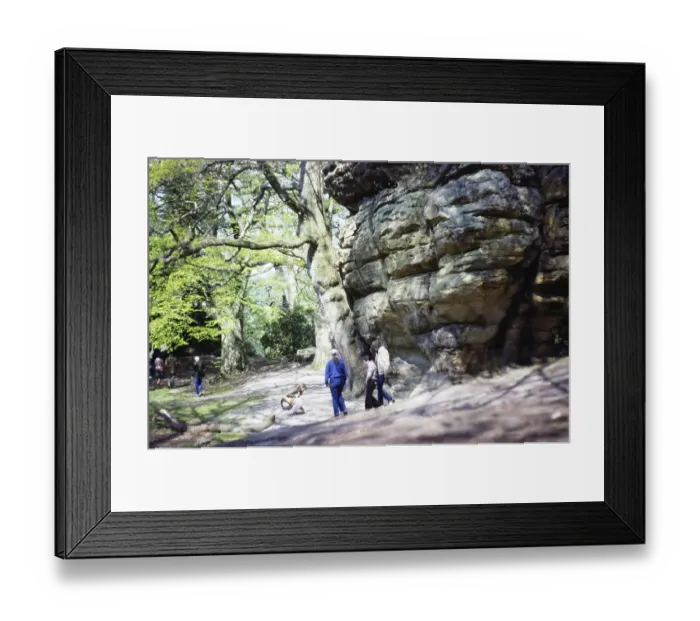 Framed Print : High Rocks, Mesolithic rock shelter, Tunbridge Wells, East Sussex, England, UK 1983 Framed Print : High Rocks, Mesolithic rock shelter, Tunbridge Wells, East Sussex, England, UK 1983