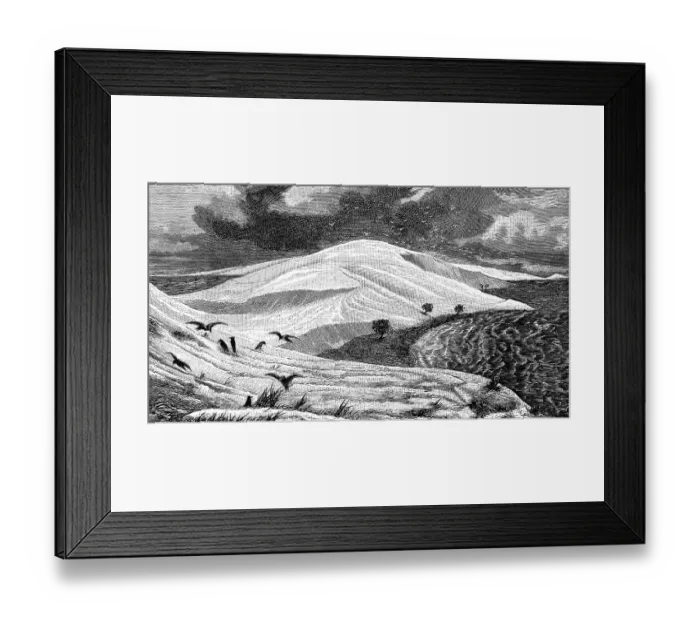 Framed Print : Dune landscape at the Baltic Sea, Curonian Spit and Curonian Lagoon, birds, waves, travel, Lithuania, historical illustration 1885, Europe