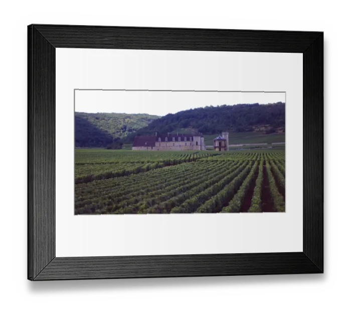 Framed Print : France: Wineyards in Aquitaine Framed Print : France: Wineyards in Aquitaine
