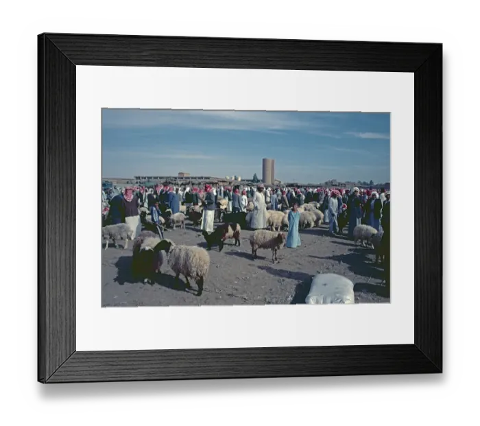 Framed Print : Cattle market, Achrat, Syria, May 1987, vintage, retro, old, historical, Asia Framed Print : Cattle market, Achrat, Syria, May 1987, vintage, retro, old, historical, Asia