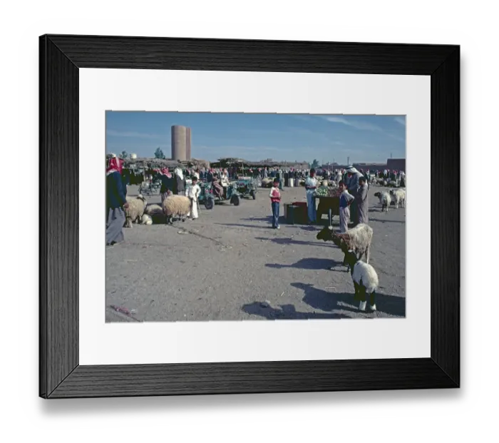 Framed Print : Cattle market, Achrat, Syria, May 1987, vintage, retro, old, historical, Asia Framed Print : Cattle market, Achrat, Syria, May 1987, vintage, retro, old, historical, Asia