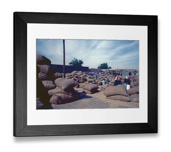 Framed Print : Cattle market, Achrat, Syria, May 1987, vintage, retro, old, historical, Asia