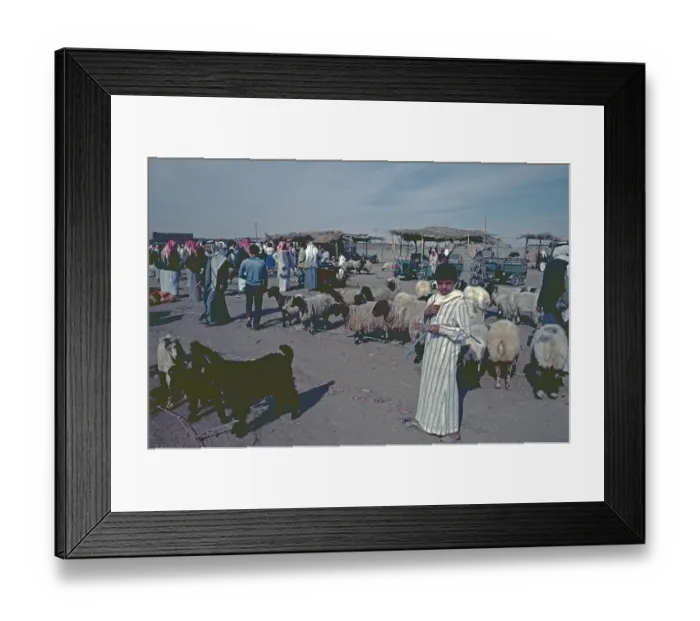 Framed Print : Cattle market, Achrat, Syria, May 1987, vintage, retro, old, historical, Asia Framed Print : Cattle market, Achrat, Syria, May 1987, vintage, retro, old, historical, Asia