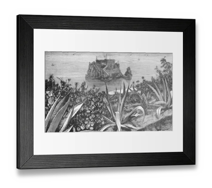Framed Print : Peak Fort, fortress on an Atlantic rock off Funchal, Madeira, agaves, travelling, autonomous region, Portugal, historical illustration 1886, Europe Framed Print : Peak Fort, fortress on an Atlantic rock off Funchal, Madeira, agaves, travelling, autonomous region, Portugal, historical illustration 1886, Europe