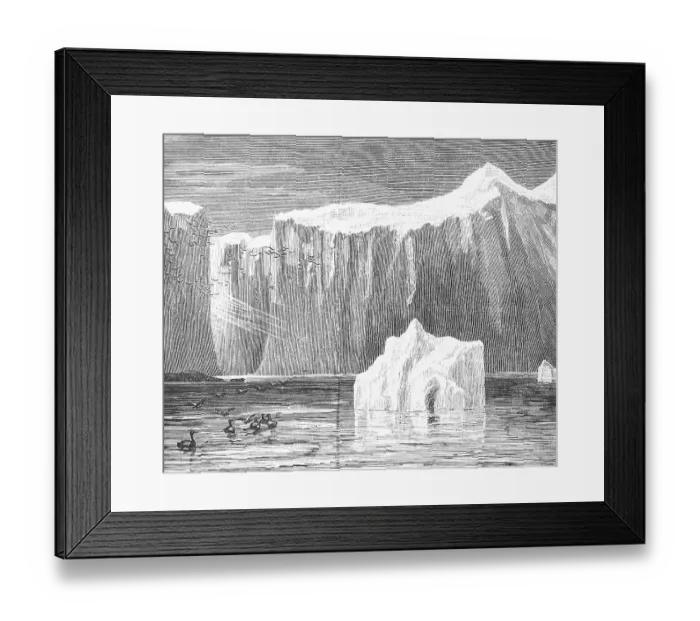 Framed Print : Icebergs floating in the Labrador Sea south of Greenland, ducks and birds, polar region, climate change, travelling, historical illustration 18888