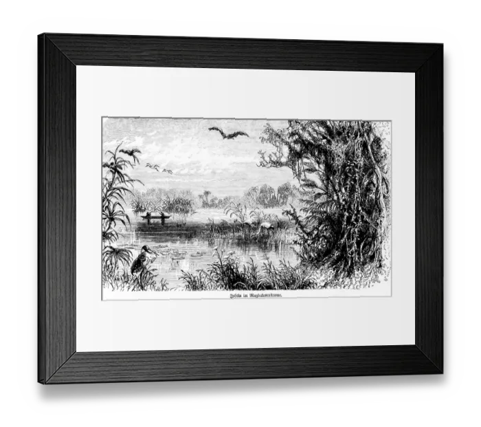 Framed Print : River landscape with small islands in the Colombian Rio Magdalena, river islands, tropical vegetation, birds, rowing boat, travelling, Colombia, historical illustration 18888, South America