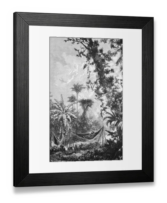 Framed Print : Rest in the hammock of European travellers in the tropical rainforest, Inner Tropics, Rainforest, Travel, Brazil, historical illustration 18888, South America