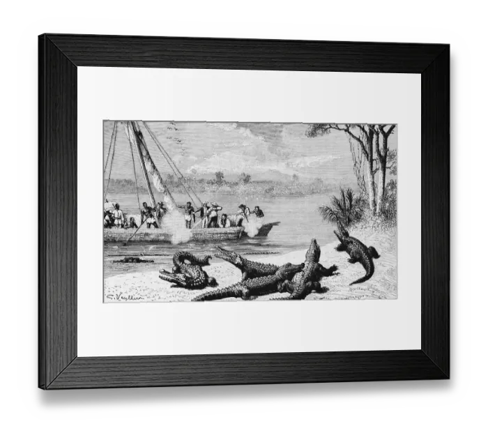 Framed Print : Hunting with a rifle for alligators and crocodiles in the South American tropics, European travellers shooting, sailing boat on a river with indigenous crew, river bank, South America, travel, historical illustration 18888