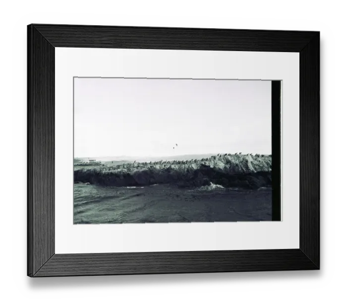 Framed Print : Argentina: Sea lions on a riff in the Beagles channel near Ushuaia, Fireland