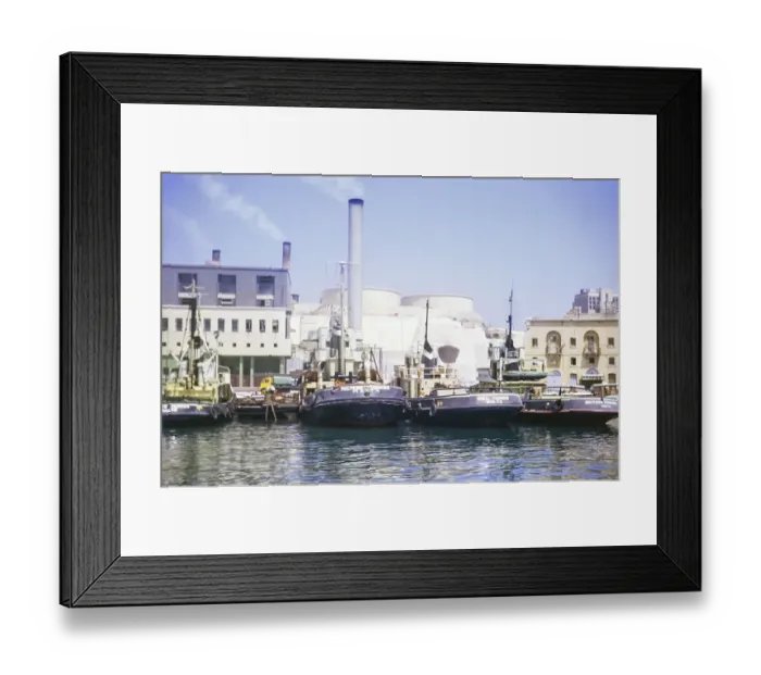 Framed Print : Maltese Terrier, Bull Terrier, British Terrier, tug boats Ta Xbiex, Valletta, Malta, Europe 1971, Europe