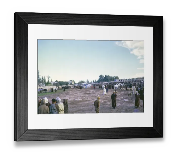 Framed Print : Horse market near Marrakech, Morocco, north Africa 1973, Africa Framed Print : Horse market near Marrakech, Morocco, north Africa 1973, Africa