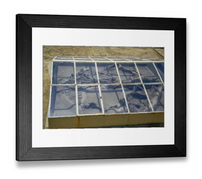 Framed Print : Royal tombs at ancient city of Salamis, Famagusta, Northern Cyprus, Europe 1973 - tomb 47 skeleton of horses under glass frame Framed Print : Royal tombs at ancient city of Salamis, Famagusta, Northern Cyprus, Europe 1973 - tomb 47 skeleton of horses under glass frame