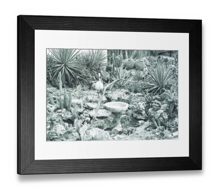 Framed Print : Australia: The front garden of an underground dwelling in the outback opal mining town of Coober Pedy