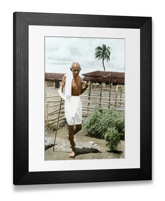 Framed Print : Mahatma Gandhi walking in Satyagraha Ashram, Wardha, Maharashtra, India, Asia, January 1938, Asia