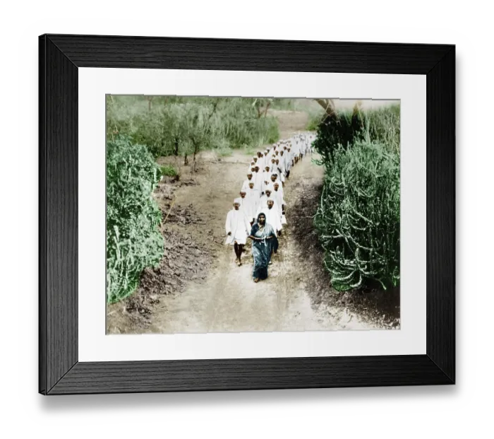 Framed Print : Sarojini Naidu leading procession of Salt Satyagraha, India, Asia, April 1930, Asia