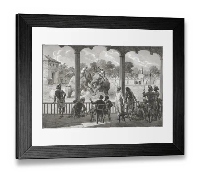 Framed Print : Elephant fight, Baroda, India, Asia