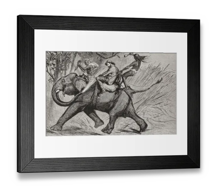 Framed Print : Albert Edward Prince of Wales riding an elephant