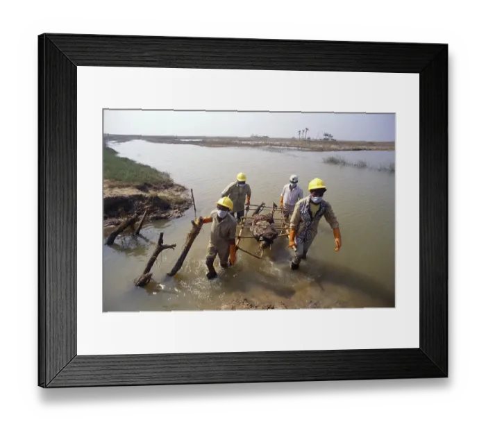 Framed Print : Rescue men holding dead body, Cyclone in Orissa, India November 1999