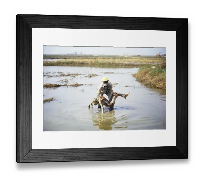 Framed Print : Rescue man holding dead body, Cyclone in Orissa, India November 1999