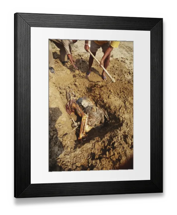 Framed Print : Rescue man buried dead body, Cyclone in Orissa, India November 1999