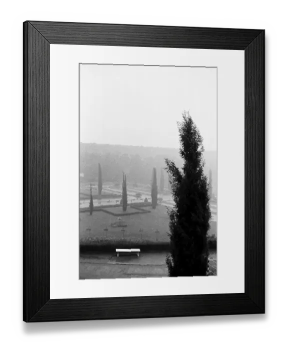 Framed Print : Trees and empty bench Brindavan Gardens Mysore Karnataka India Asia 1977