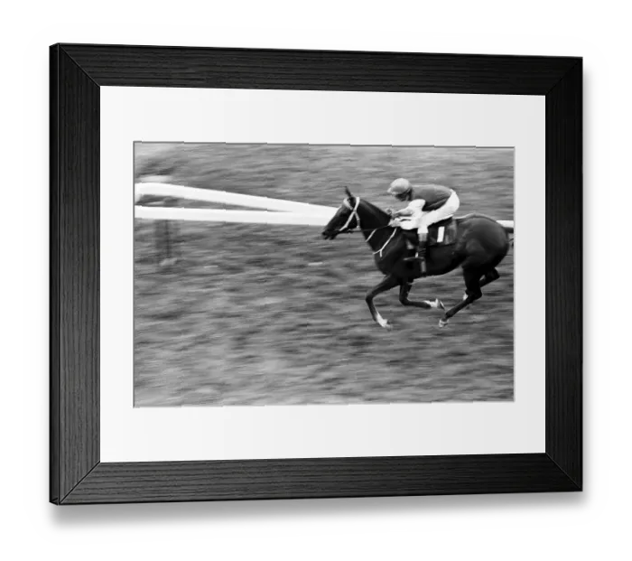 Framed Print : Galloping horse in race course Hong Kong 1971 Framed Print : Galloping horse in race course Hong Kong 1971