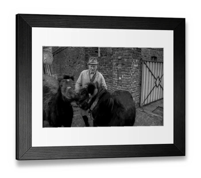 Framed Print : Germany, Kampehl, 01 / 02 / 1992, farmer with two horses, ponies, in Kampehl, Europe