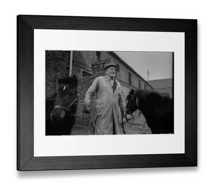 Framed Print : Germany, Kampehl, 01 / 02 / 1992, farmer with two horses, ponies, in Kampehl, Europe Framed Print : Germany, Kampehl, 01 / 02 / 1992, farmer with two horses, ponies, in Kampehl, Europe