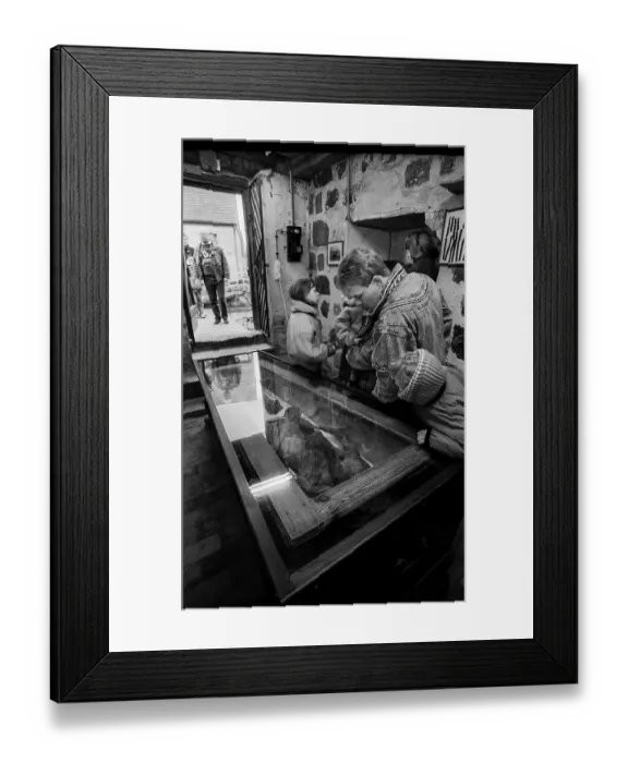 Framed Print : Germany, Kampehl, 01.02.1992, Mummy of the knight Kahlputz in Kampehl, Europe Framed Print : Germany, Kampehl, 01.02.1992, Mummy of the knight Kahlputz in Kampehl, Europe