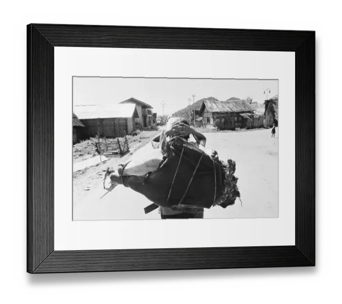 Framed Print : Man carrying loads, Kameng, Arunachal Prades h, India 1982 Framed Print : Man carrying loads, Kameng, Arunachal Prades h, India 1982