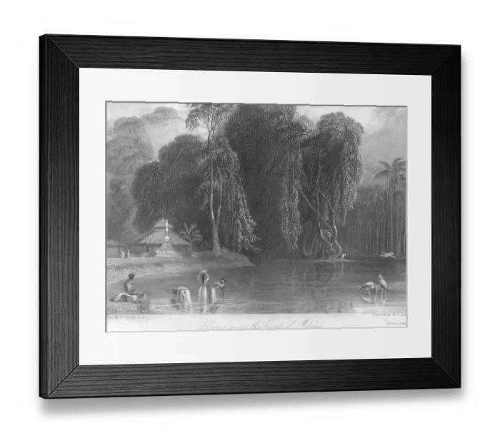 Framed Print : s cene near The Coast of Malabar, India, As ia Framed Print : s cene near The Coast of Malabar, India, As ia