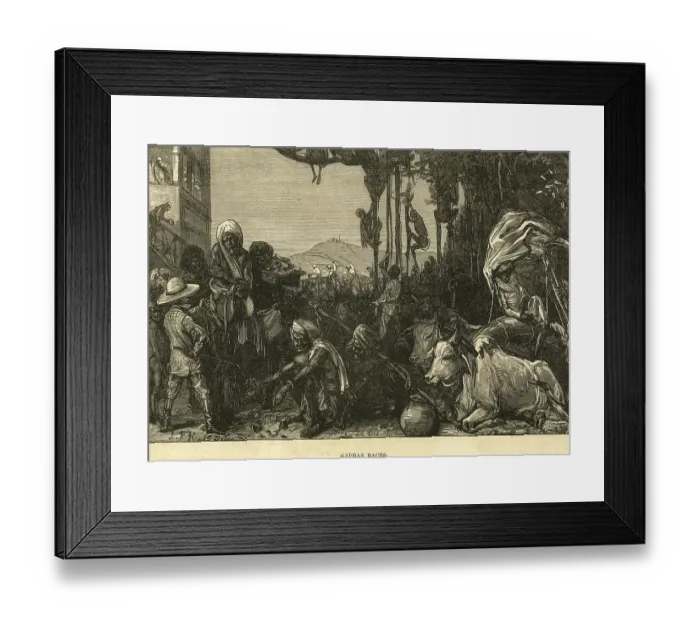 Framed Print : Madras Views Madras Races, Chennai, Tamil Nadu, India, As ia
