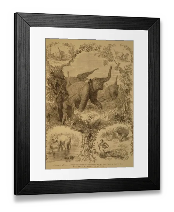 Framed Print : Lithographs elephant hunting in Ceylon, sri Lanka, As ia Framed Print : Lithographs elephant hunting in Ceylon, sri Lanka, As ia