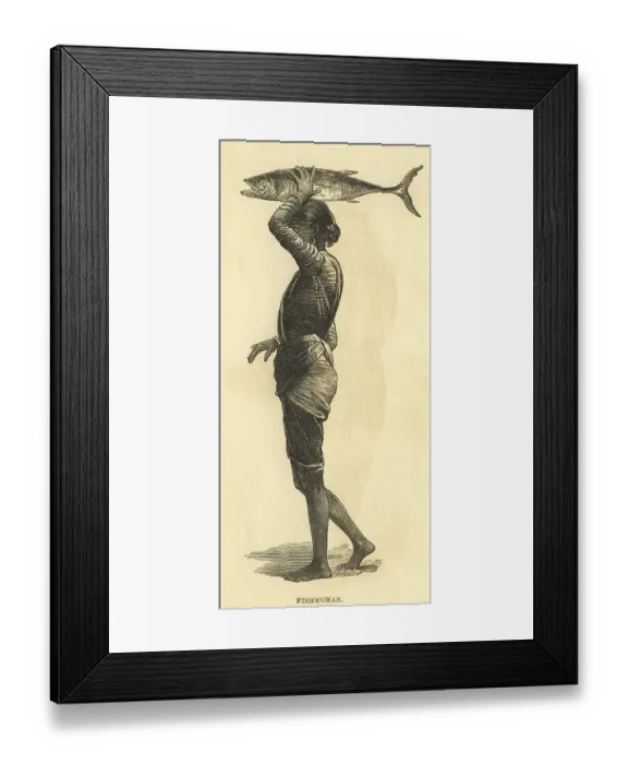 Framed Print : Lithographic portraits, fis herwoman 25th March 1876, India, As ia