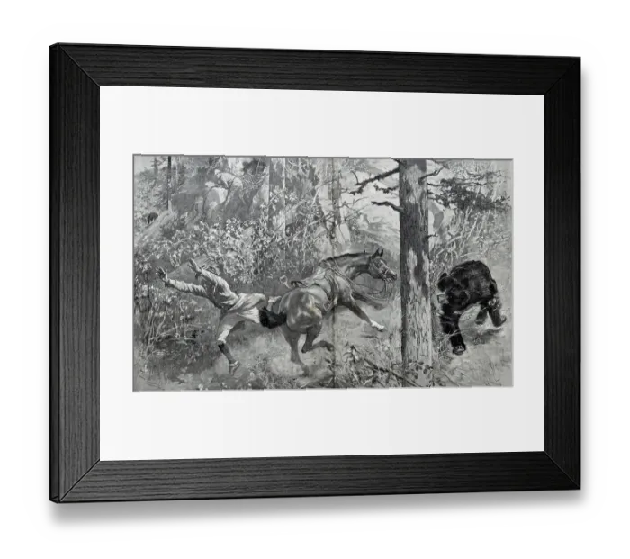 Framed Print : Taken by surpris e, bear shooting at an Indian hill station, India, As ia