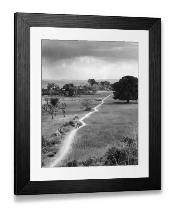 Framed Print : Lands cape with foot path in village, India 1940's