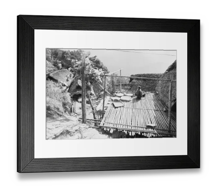 Framed Print : Member of Nocte tribe in Tirap dis trict drying vegetables on bamboo platform, Arunachal Prades h, India 1982 Framed Print : Member of Nocte tribe in Tirap dis trict drying vegetables on bamboo platform, Arunachal Prades h, India 1982