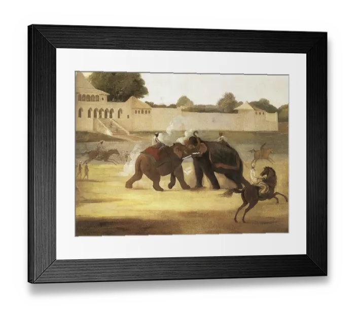 Framed Print : Elephant fight in front of Nawab of Oudh's Bungalow at Gow gautee, India 1995 Framed Print : Elephant fight in front of Nawab of Oudh's Bungalow at Gow gautee, India 1995