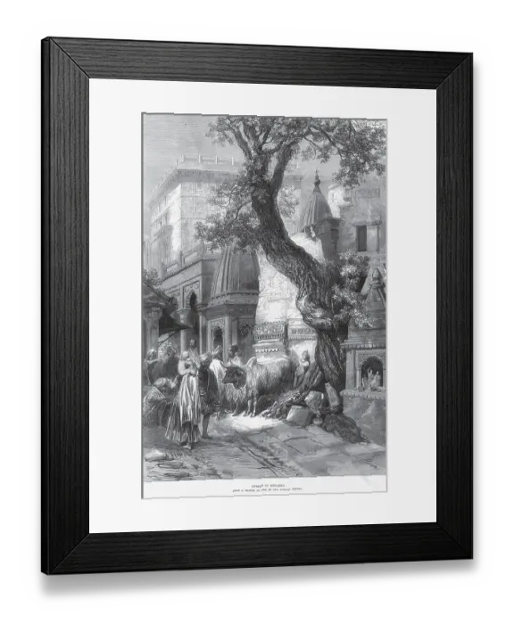 Framed Print : General View Street in Benares, Varanasi, Uttar Pradesh, India, Asia Framed Print : General View Street in Benares, Varanasi, Uttar Pradesh, India, Asia