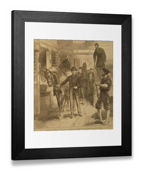 Framed Print : Lithographs Voyage of the Prince of Wales to India Exercising the Prince of Wales's horse son Board H.M.S. Serapis, India, Asia