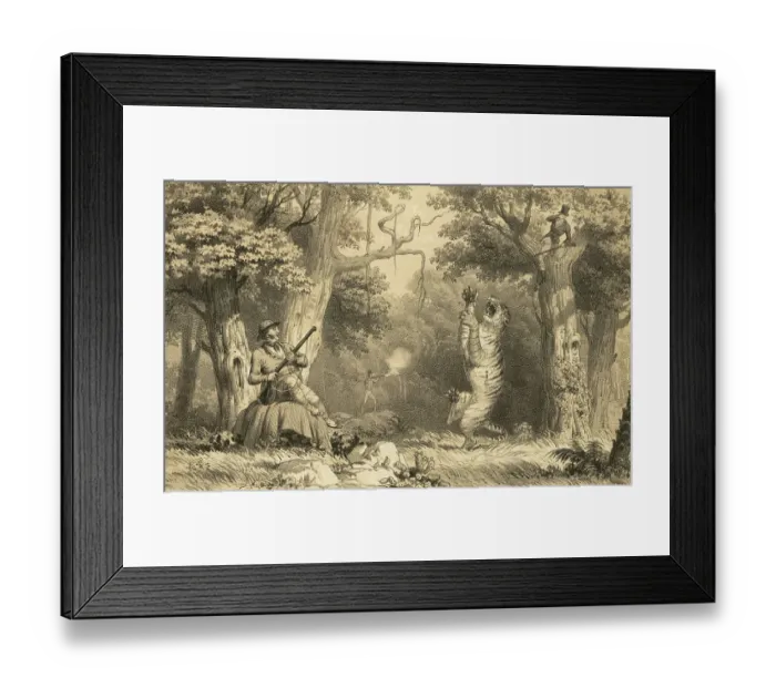 Framed Print : Lithographs tiger hunting, India, Asia