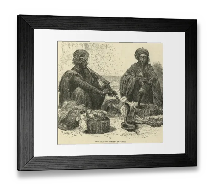 Framed Print : Cobra, capello serpent charmers Framed Print : Cobra, capello serpent charmers