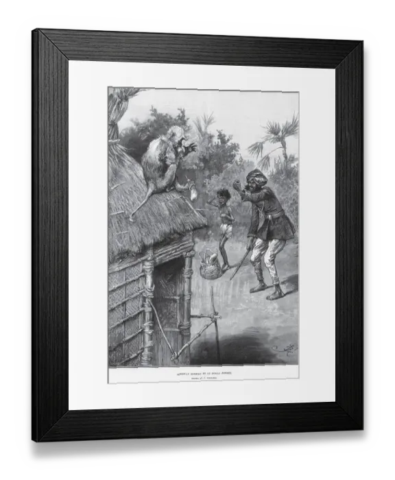 Framed Print : Hunting & animal views, highway robbery by an Indian monkey, India, Asia